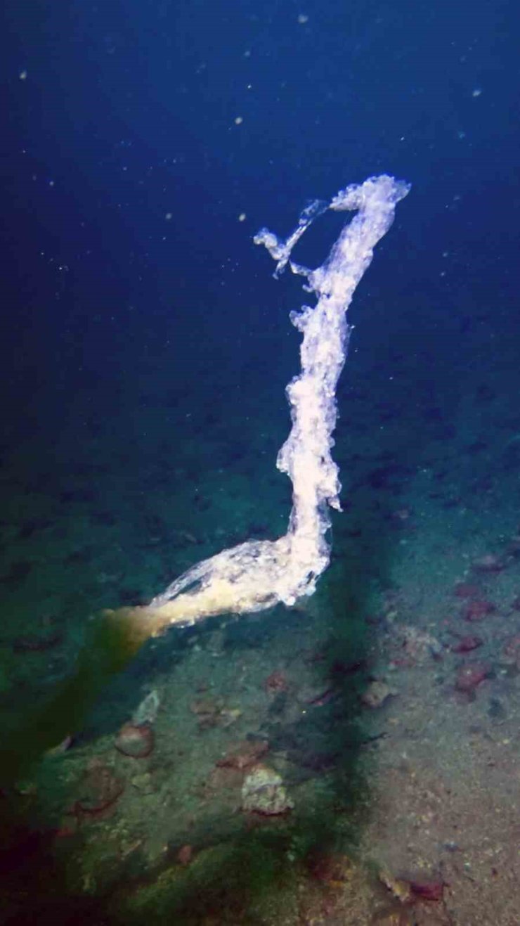 MARMARA’DA MÜSİLAJ TEHLİKESİ DEVAM EDİYOR