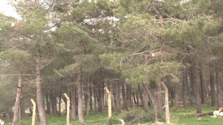 KARLA KAPLANAN AYDOS ORMANI ZİRVESİ HAVADAN GÖRÜNTÜLENDİ
