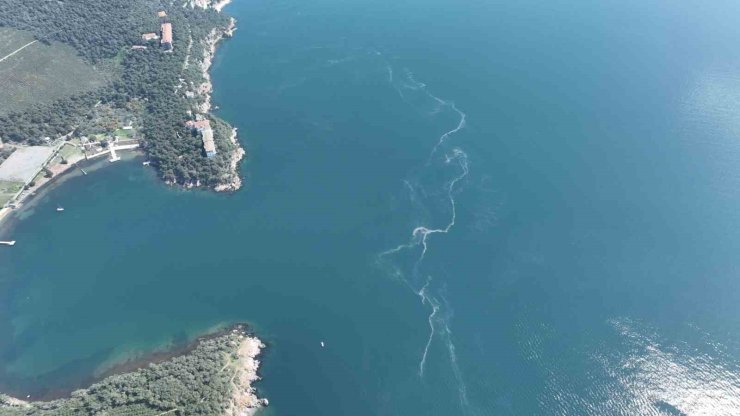 İSTANBUL’DA MÜSİLAJ YENİDEN ORTAYA ÇIKTI