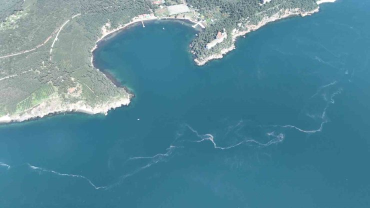 İSTANBUL’DA MÜSİLAJ YENİDEN ORTAYA ÇIKTI