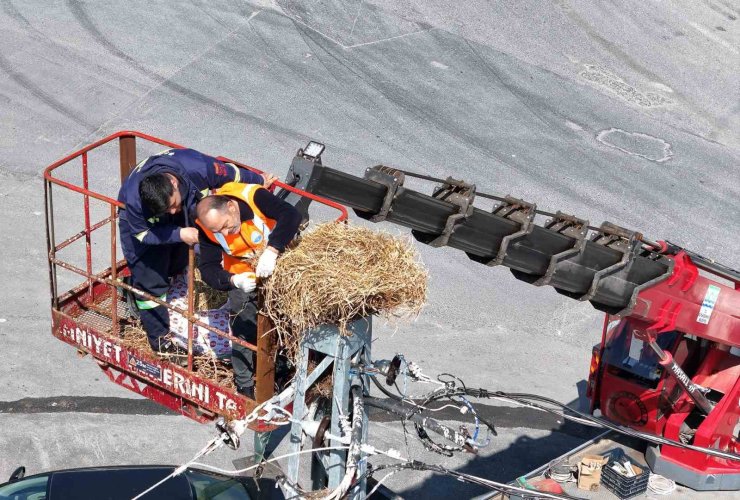 İŞ YERİNİ "KİRLETİYOR" GEREKÇESİYLE LEYLEK YUVASINI KALDIRTAN ESNAFA TUTANAK TUTULDU