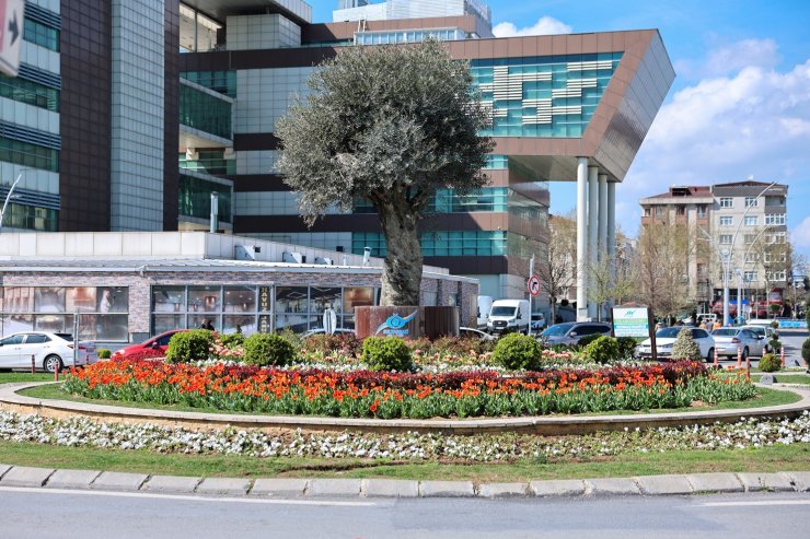 SULTANGAZİ’NİN CADDE VE SOKAKLARINA BAHAR GELDİ