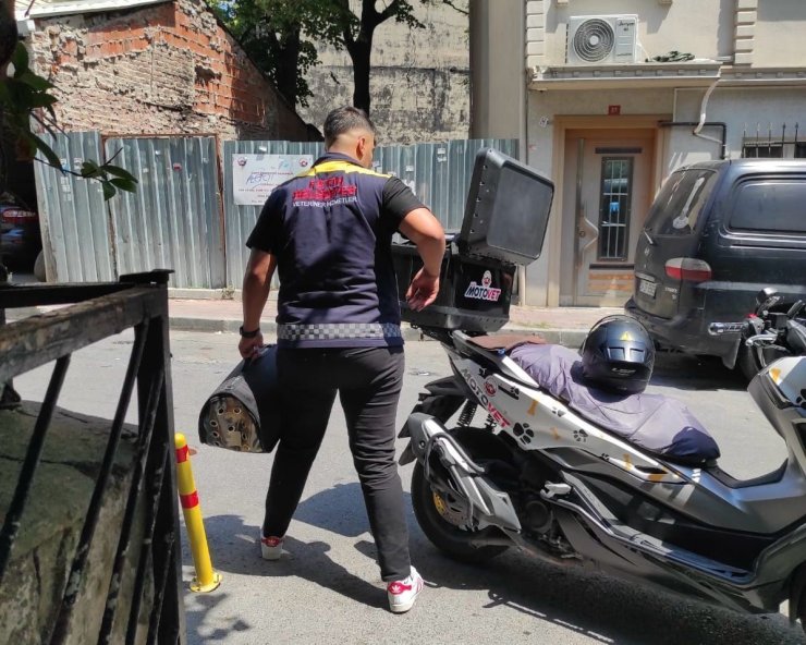 FATİH BELEDİYESİ’NDEN DOĞAYA CAN: MOTOVET EKİBİ YARALI KANATLILARI HAYATA KAZANDIRIYOR