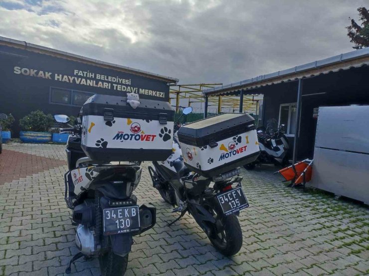 FATİH BELEDİYESİ’NDEN DOĞAYA CAN: MOTOVET EKİBİ YARALI KANATLILARI HAYATA KAZANDIRIYOR