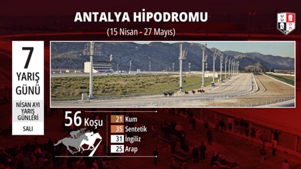 fdnksoyxfcIdoqvgms37htei.jpg