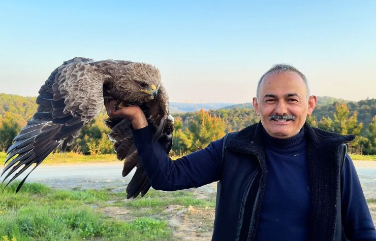 ARNAVUTKÖY’DE ORMANDA OT TOPLAYAN VATANDAŞ YARALI KAYA KARTALI BULDU