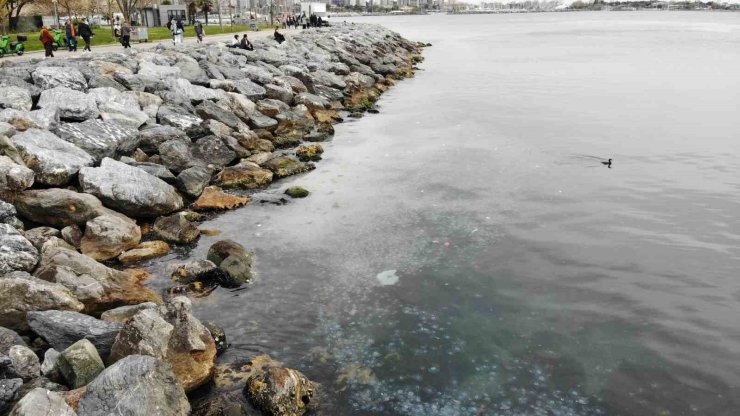 MODA SAHİLİ’Nİ DENİZANASI BASTI: DRON İLE BÖYLE GÖRÜNTÜLENDİ