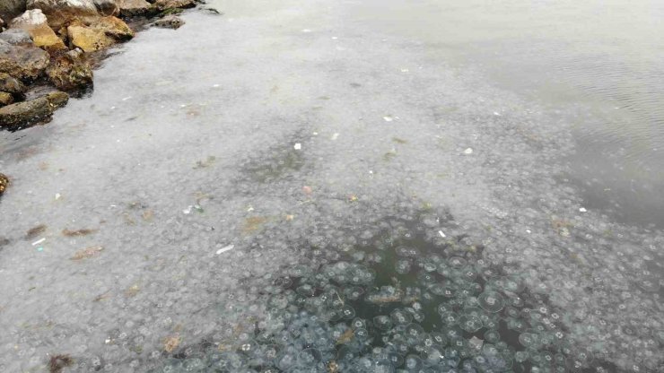 MODA SAHİLİ’Nİ DENİZANASI BASTI: DRON İLE BÖYLE GÖRÜNTÜLENDİ