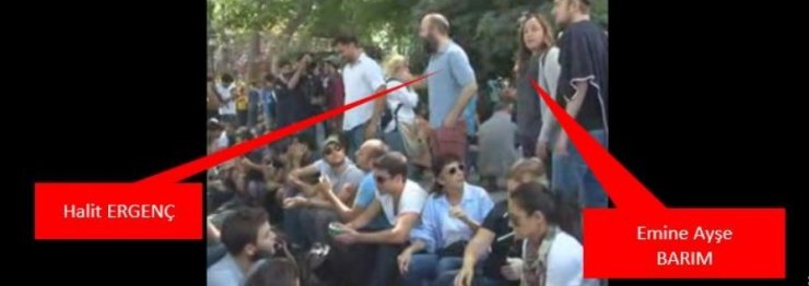 AYŞE BARIM’A ‘GEZİ PARKI’ SORUŞTURMASINDA 30 YILA KADAR HAPİS TALEBİ