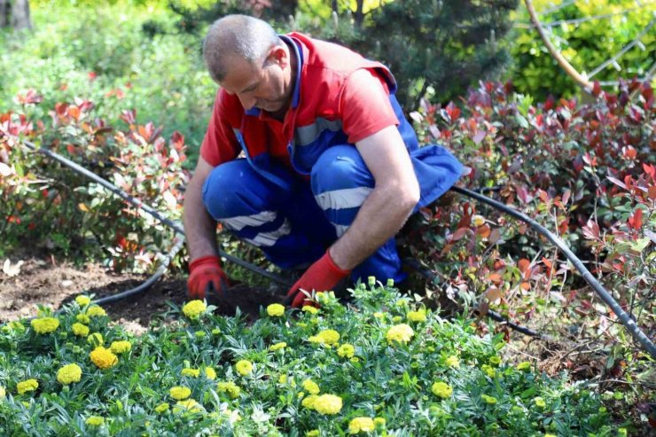 KAĞITHANE’DE YEŞİL ALANLARDA BAKIM ÇALIŞMASI YAPILDI