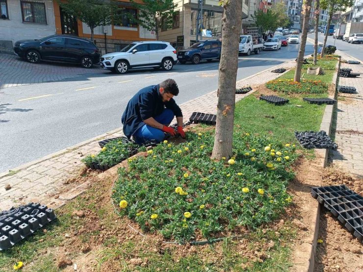 KAĞITHANE’DE YEŞİL ALANLARDA BAKIM ÇALIŞMASI YAPILDI