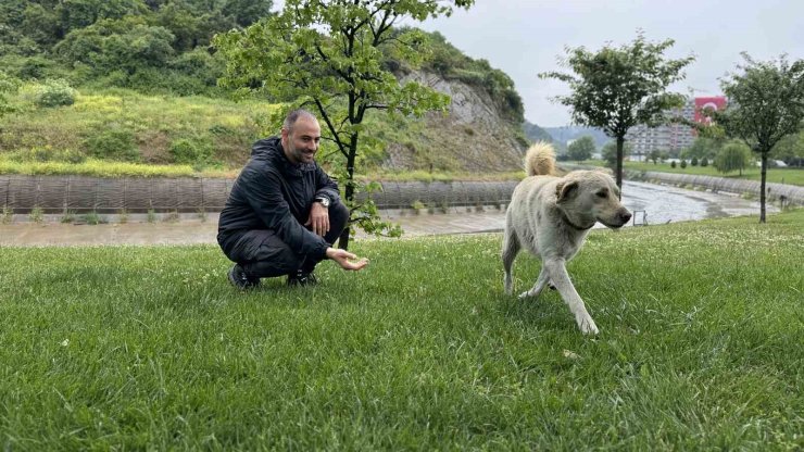 BANKADA MAHSUR KALAN KÖPEK ALARM SİSTEMİNİ DEVREYE SOKTU: ÇEVREDEKİLER HIRSIZ VAR SANDI