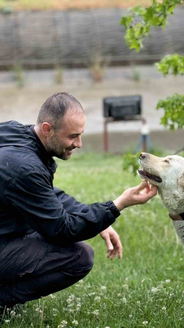 BANKADA MAHSUR KALAN KÖPEK ALARM SİSTEMİNİ DEVREYE SOKTU: ÇEVREDEKİLER HIRSIZ VAR SANDI