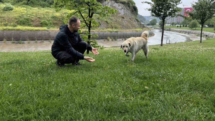 BANKADA MAHSUR KALAN KÖPEK ALARM SİSTEMİNİ DEVREYE SOKTU: ÇEVREDEKİLER HIRSIZ VAR SANDI
