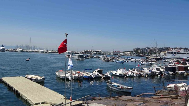 PENDİK’TE BALIKÇILARA SÜRPRİZ: OLTAYA KÖPEK BALIĞI TAKILDI