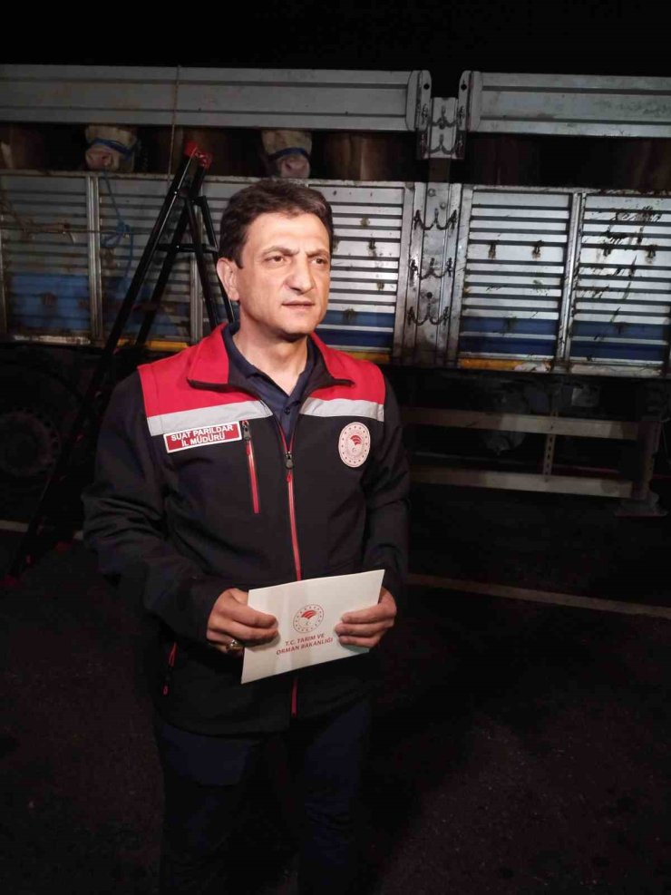 ANADOLU’DAN GELEN KURBANLIKLAR İSTANBUL’A GİRİŞ YAPMAYA BAŞLADI