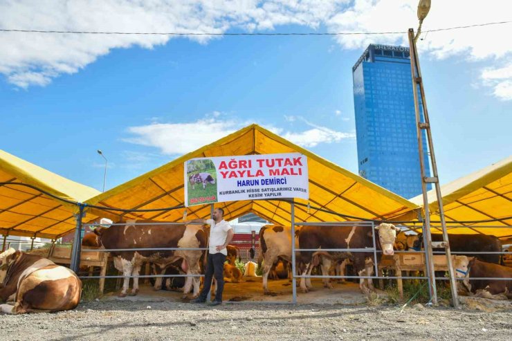 ESENYURT’TA KURBAN SATIŞ VE KESİM ALANI HAZIR