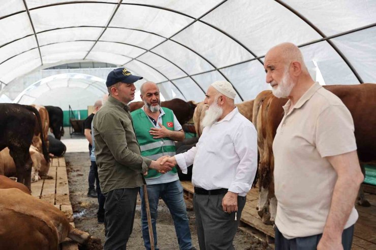 BAĞCILAR BELEDİYESİ 20 BİN METREKARE ALANA KURBAN SATIŞ PAZARI KURDU