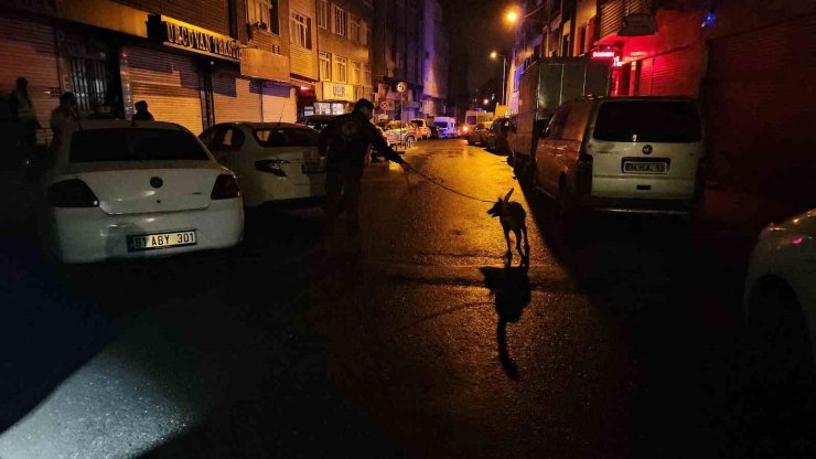 KAĞITHANE’DE EĞLENCE MEKANINA EL BOMBASI ATILDI: 7 YARALI