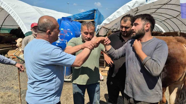 SULTANGAZİ KURBAN PAZARINDA BAYRAM HAREKETLİLİĞİ DEVAM EDİYOR