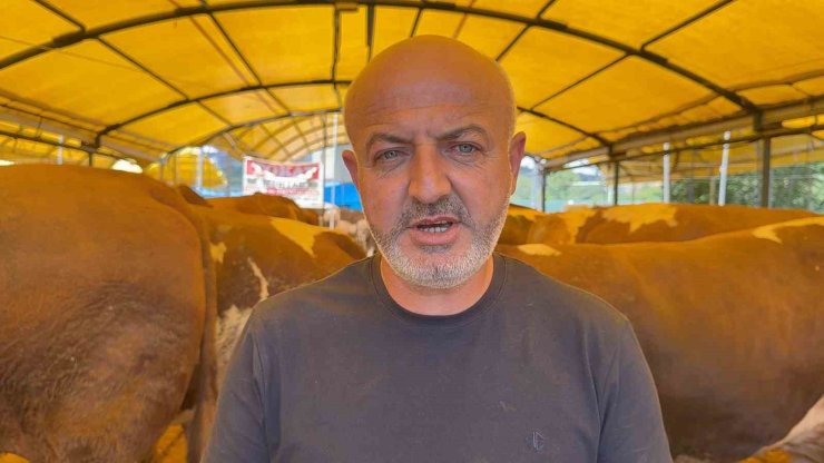KURBAN PAZARININ ŞAMPİYONU OLDU: 1 TON 200 KİLOLUK DANA 420 BİN TL’YE ALICI BULDU