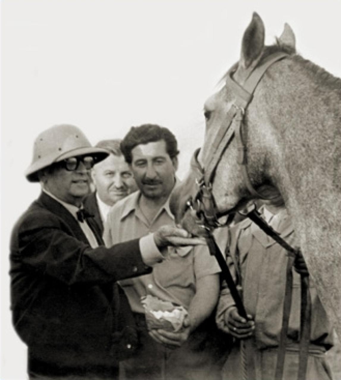 rqoaxoua1mpvfIhtxfjlt07d.jpg