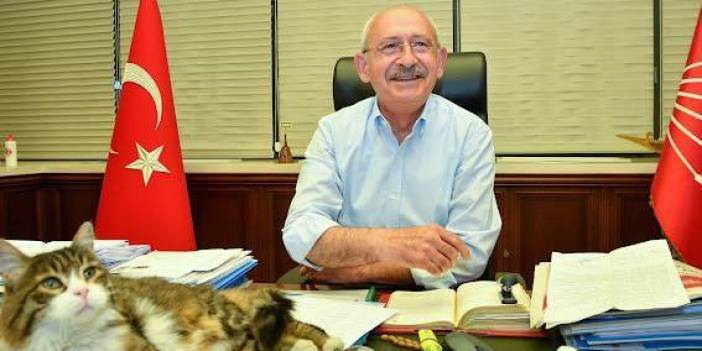 KILIÇDAROĞLU'NDAN 'KEDİLİ' MESAJ